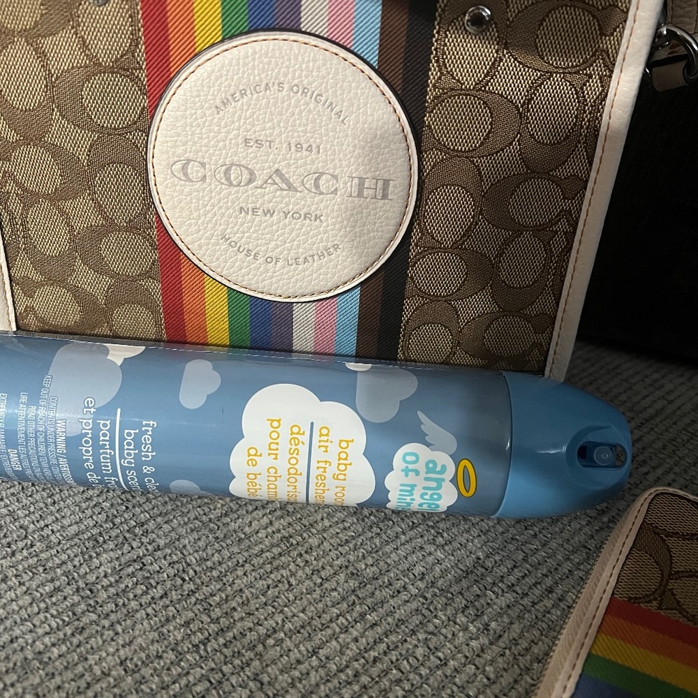 Coach rainbow bag & wallet set